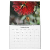 Photographie des abeilles et des fleurs Calendrier (Feb 2026)