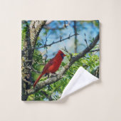 Photographie d'oiseau sauvage du cardinal rouge (Gant de toilette)