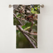 Photographie d'oiseaux, cire de Bohême (En situation)