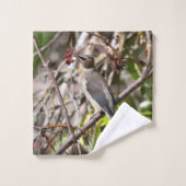 Photographie d'oiseaux, cire de Bohême (Gant de toilette)