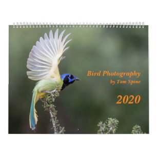 Photographie d'oiseaux par Tom Spine, Calendrier 2