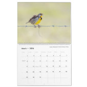 Photographie d'oiseaux par Tom Spine, Calendrier 2 (Mar 2026)