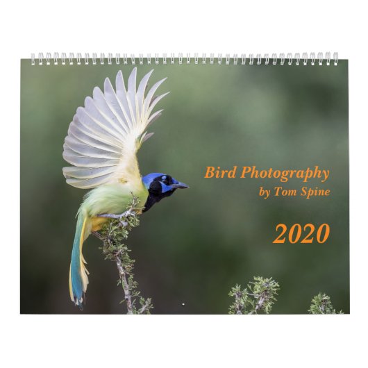 Photographie d'oiseaux par Tom Spine, Calendrier 2 (Protection)