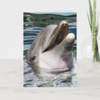 PHOTOGRAPHIE DOLPHIN SOURIRE CARTE D'ANNIVERSAIRE