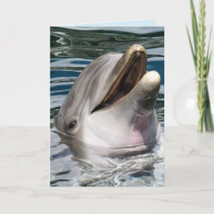 PHOTOGRAPHIE DOLPHIN SOURIRE CARTE D'ANNIVERSAIRE
