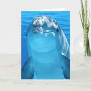 PHOTOGRAPHIE DOLPHINE CARTE D'ANNIVERSAIRE