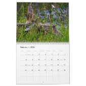 Photographie du calendrier du parc national (Feb 2026)