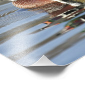 Photographie du canard à bois (Coin)