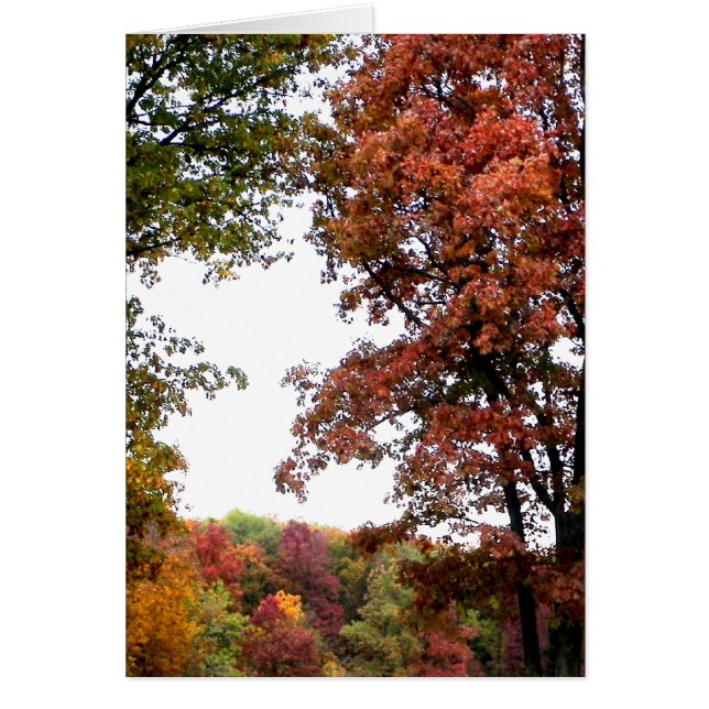 Photographie du paysage d'automne (Devant)