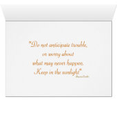 PHotographie Fleur de marguerite (Intérieur Horizontal (Bas))