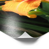 Photographie florale Orange Fleur (Coin)