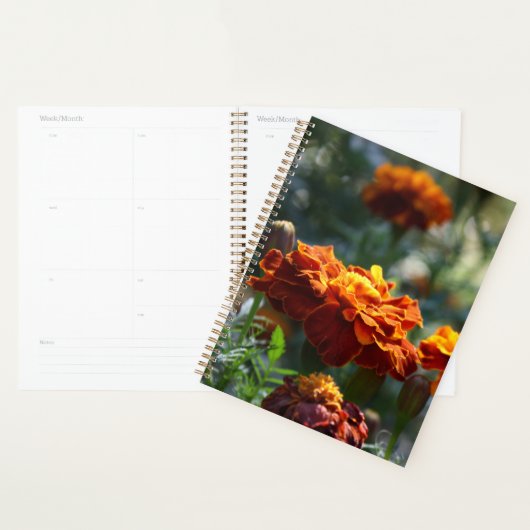 Photographie Macro Marigolds brillante (Devant avec enveloppe)