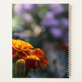 Photographie Macro Marigolds brillante (Dos)