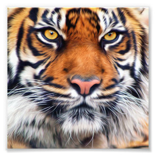 Photographie masculine de peinture de tigre