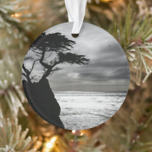 Photographie nature noir et blanc