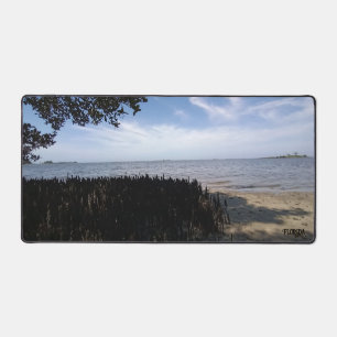 Photographie naturelle relaxante de la côte du gol