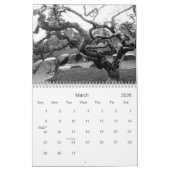 Photographie noire et blanche du calendrier 2011 (Mar 2026)
