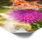 Photographie Papillon Imprimer, Pink Thorn (Coin)