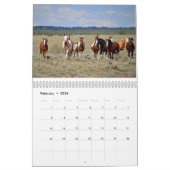 Photographie par le calendrier de cheval sauvage (Feb 2026)