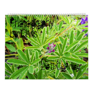 Photographie par le calendrier de Chris 2011