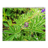 Photographie par le calendrier de Chris 2011 (Protection)