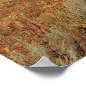 Photographie rustique. Impression du paysage. Phot (Coin)