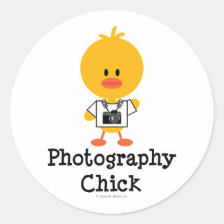 Photographie Stickers de poussins