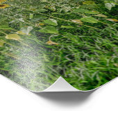 Photographie "Sunflower Heaven" (Coin)
