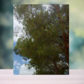PHOTOGRAPHIE SYMBOLE ACrylique (Neutre)