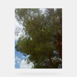 PHOTOGRAPHIE SYMBOLE ACrylique