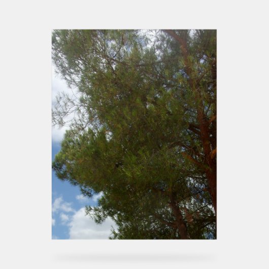 PHOTOGRAPHIE SYMBOLE ACrylique (Recto)