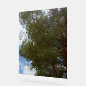 PHOTOGRAPHIE SYMBOLE ACrylique (Angle)