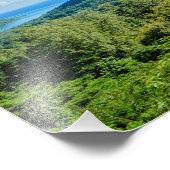 Photographie vert tropical Moorea (Coin)