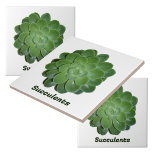 Photographie verte Succulente Botanique naturelle<br><div class="desc">Carreaux botaniques, dessinés par Nature!, avec un plante succulent Echeveria vert photo closeup. Carreaux naturellement beaux pour l'utilisation comme barre oblique arrière, les carreaux d'accent, les arts et l'artisanat et les plantes d'intérieur ou le jardinage. Le texte est personnalisable ou peut être supprimé. Cette image est une photographie botanique originale...</div>