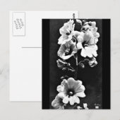 Photographie Vintage carte postale-Charles Aubry 2 (Devant / Derrière)