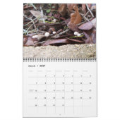 Photographies de Mon Calendrier Mondial (Mar 2027)