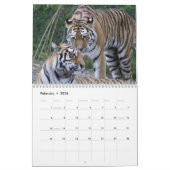 Photographies de tigres Calendrier 12 mois (Feb 2026)