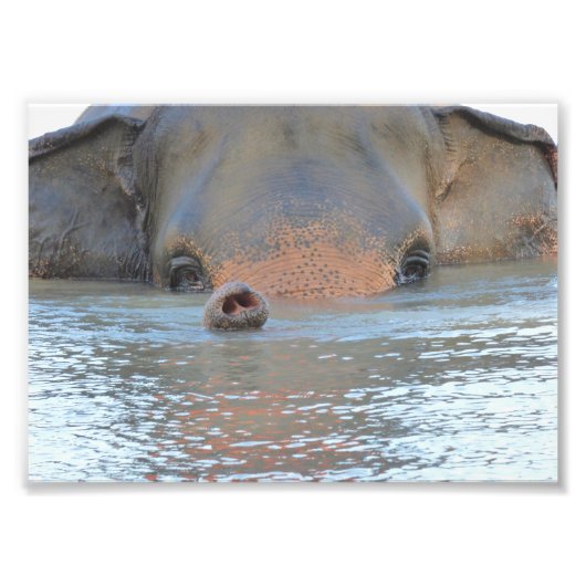 Photographies : Faune et Nature Photographie (Devant)