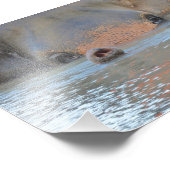 Photographies : Faune et Nature Photographie (Coin)