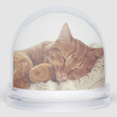 Photos de chat personnalisées Keepsaké Snow Globe (Avant)