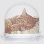 Photos de chat personnalisées Keepsaké Snow Globe (Arrière)