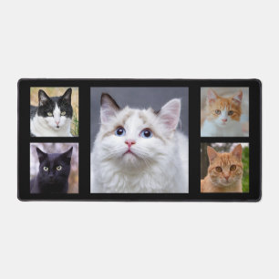 Photos de chat personnalisées sur fond noir