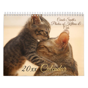 Photos de Chats & Chatons Calendrier 20XX
