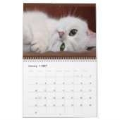 Photos de Chats & Chatons Calendrier 20XX (Jan 2027)