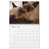 Photos de Chats & Chatons Calendrier 20XX (Feb 2027)