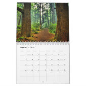 Photos de Chemins dans le Calendrier Woods (Feb 2026)