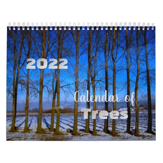 Photos de l'arbre unique du calendrier mondial 202 (Protection)
