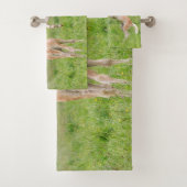 Photos des Chevaux de Haflinger (En situation)