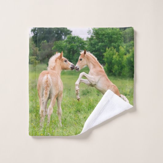 Photos des Chevaux de Haflinger (Gant de toilette)