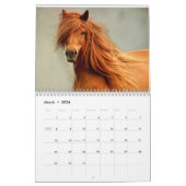 Photos du calendrier des beaux chevaux (Mar 2026)